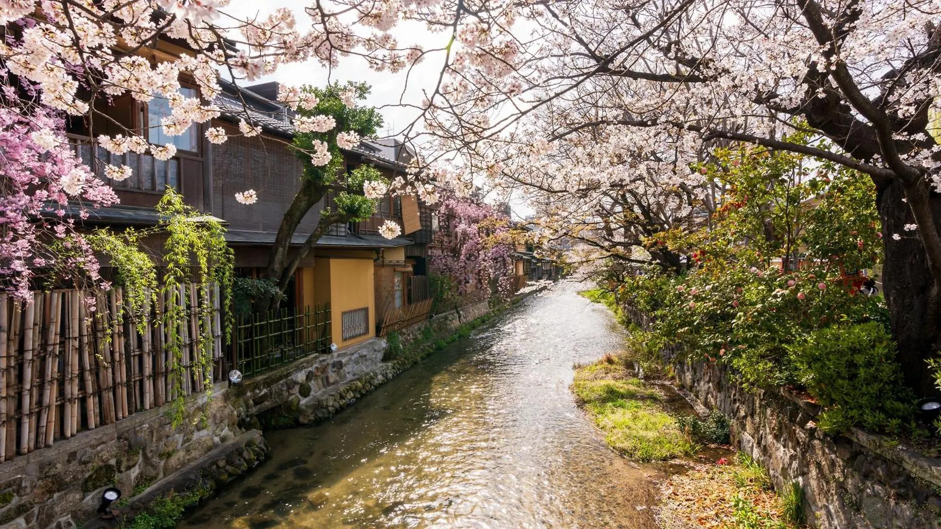 ***  Stitch Hotel Kioto Japón
